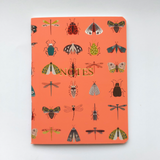 Moth Notebooks