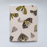 Moth Notebooks