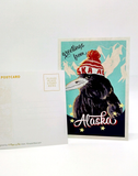 Bear Postcards